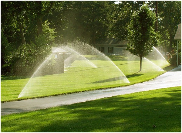 Jump through the sprinklers 