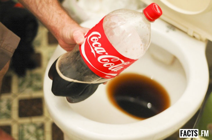 Toilet Cleaner 
Pour a can of Coke into the toilet bowl before cleaning to help ease up the dirt. Let it soak a bit, then clean as usual. Your scrubbing time should be reduced.