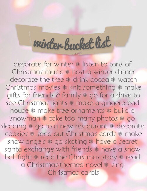 WINTER BUCKET LIST|2015-16