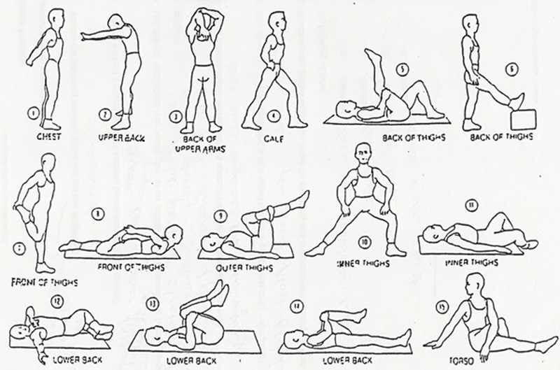 Dynamic stretches are when you move your body. Really great during a warm up to prevent injury and loosen up your muscles. Dynamic stretching is for example rolling the shoulders. Moving in position 10 in the picture from left side to right side etc.