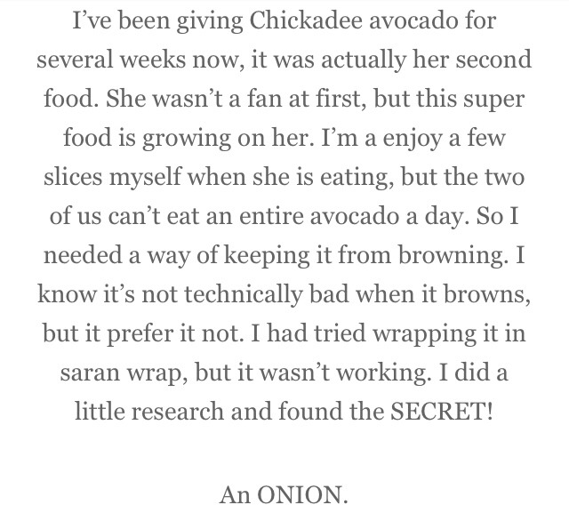 💢🌀HOW TO KEEP AN AVOCADO FROM TURNING BROWN🌀💢