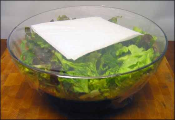 Use a paper towel to keep your salad fresh and avoid sogginess 