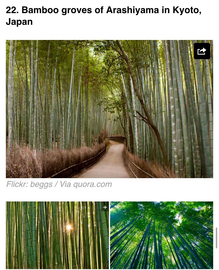 Often referred to as the "Bamboo Forest," this tree-lined path is popular for walks and bicycle rides on a nice day.
