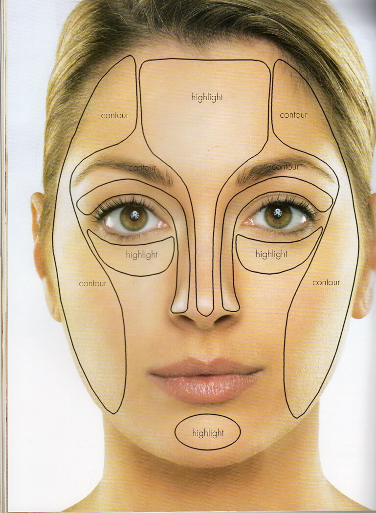 Highlight And Contour Guide