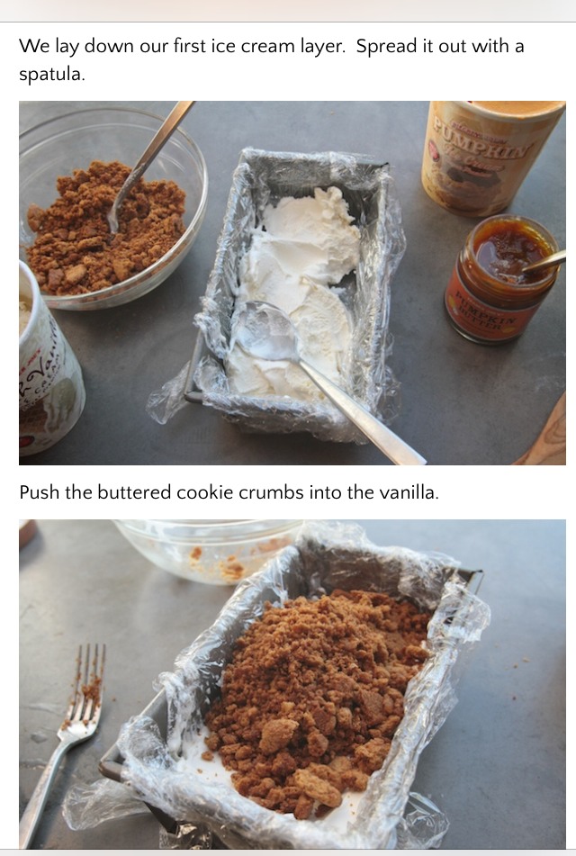Pumpkin Ginger snap Ice cream