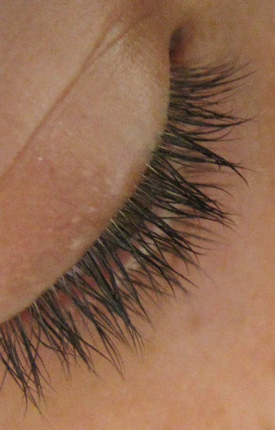 How To Grow Long Lashes