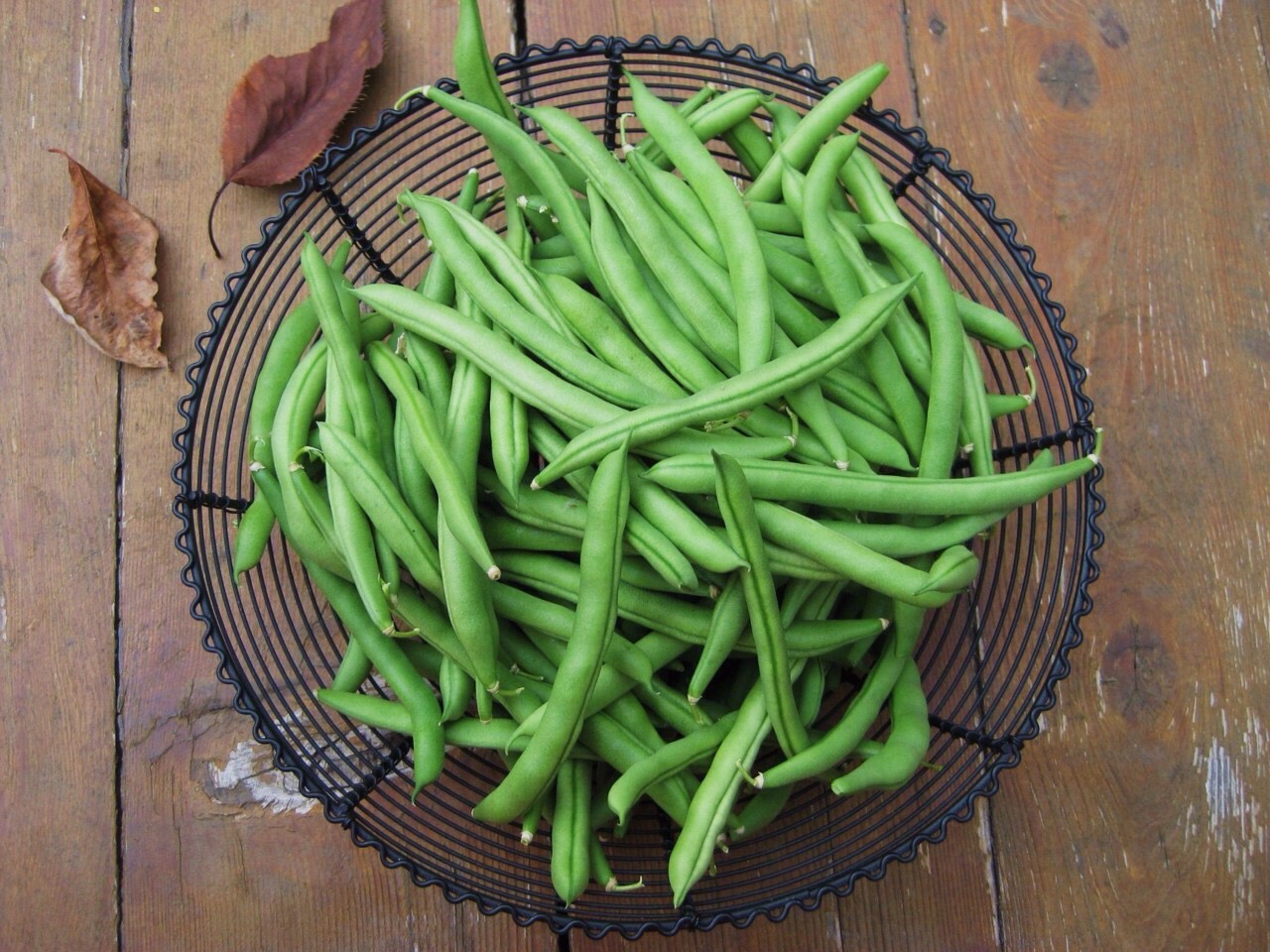 Beans.
