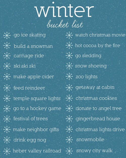 WINTER BUCKET LIST|2015-16
