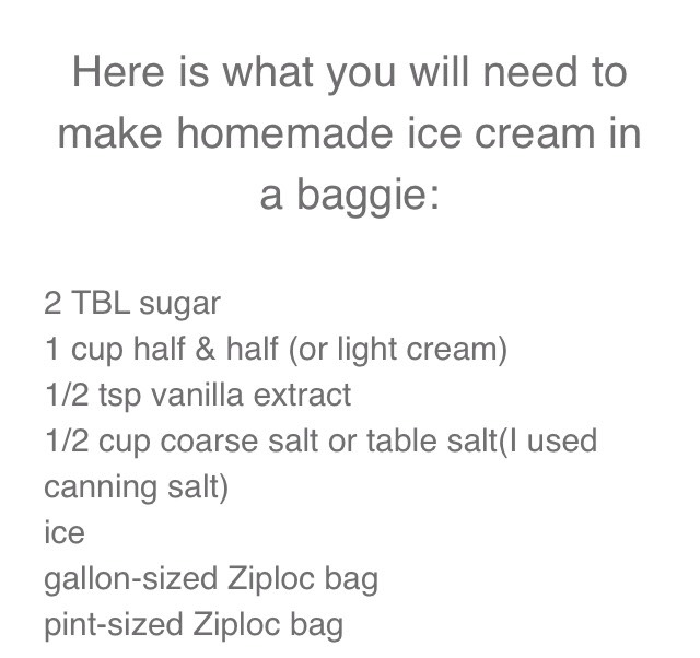 Homemade Ice cream In A Baggie!!