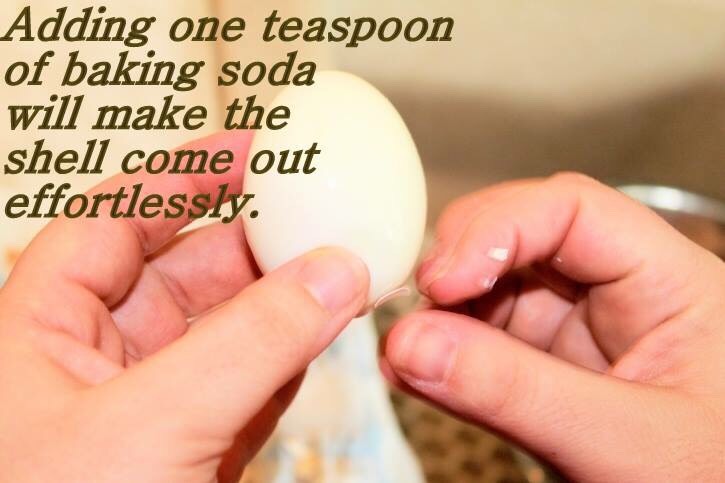 Fun Food Facts. 😊