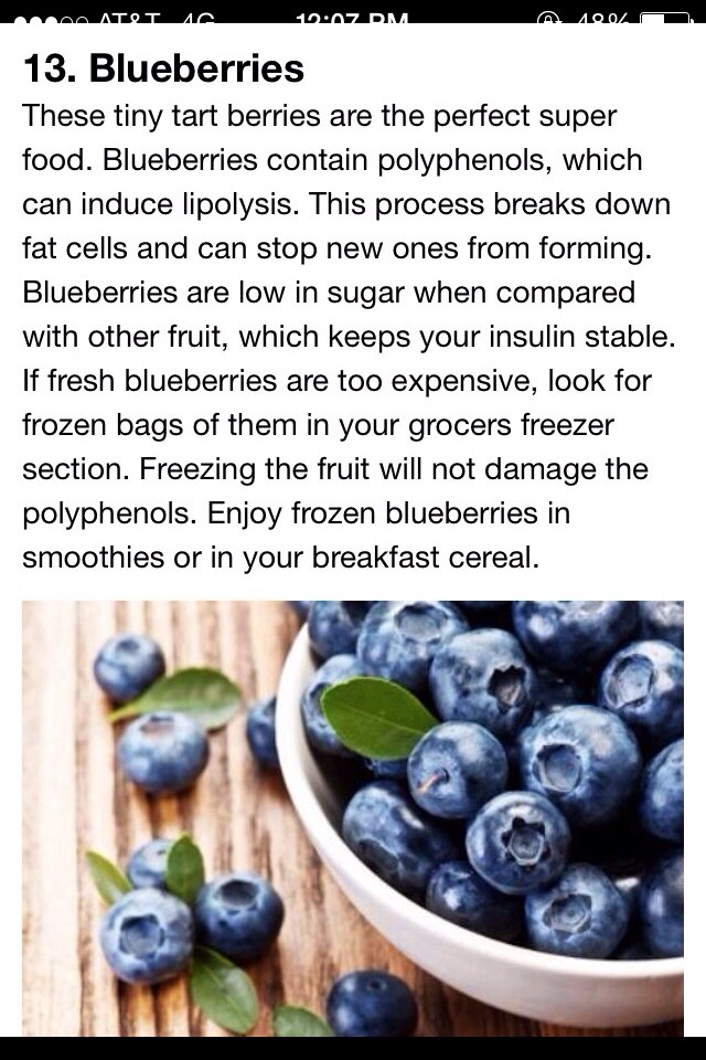 15 Super Food For Weight Loss!!!