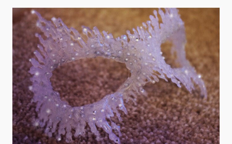 DIY Masquerade Mask: Ice Queen. 