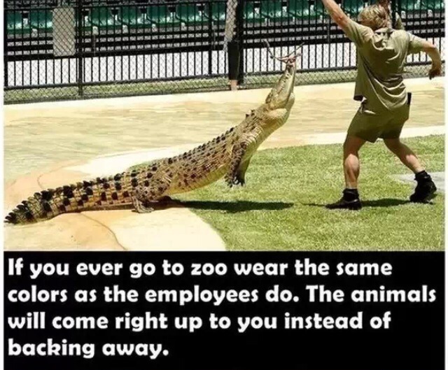 Amazing Life Hacks
