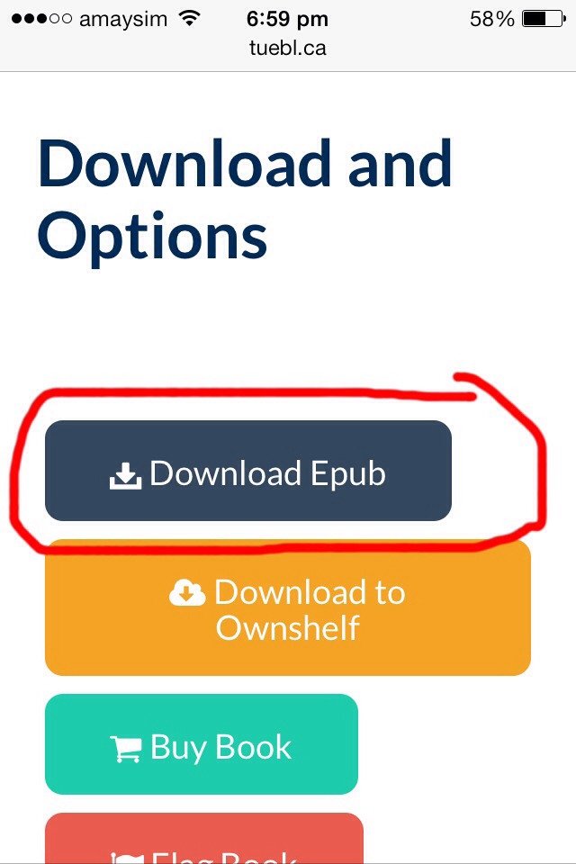 After you've pressed that, scroll down a little until you find "Download Epub" click on it.