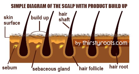 ✨Scalp Detoxing✨