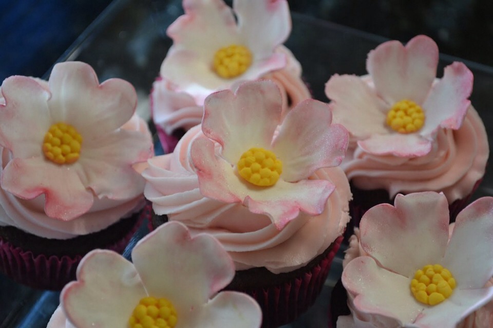 Pretty And Unique Cupcakes 
