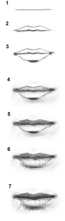 Drawing Realistic Facial Features Step By Step 