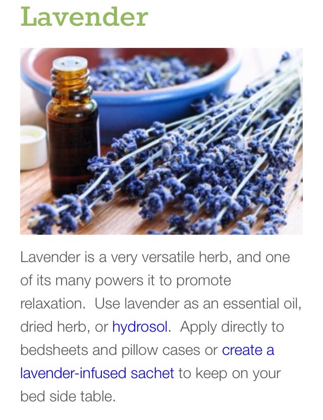 ✨Natural Sleep Remedies That Really Work✨