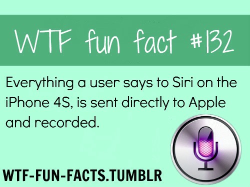 Fun Facts