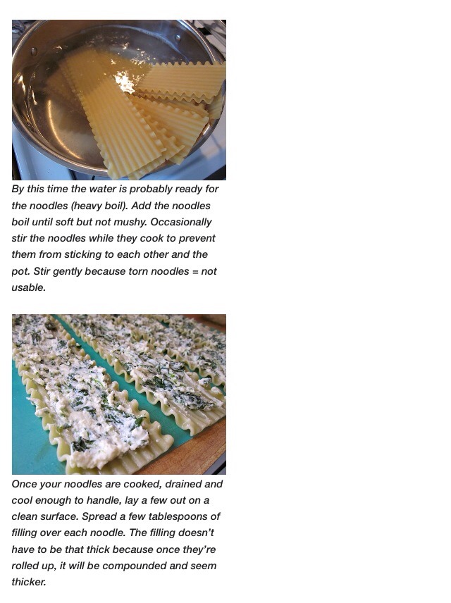 Spinach Lasagna Recipe 