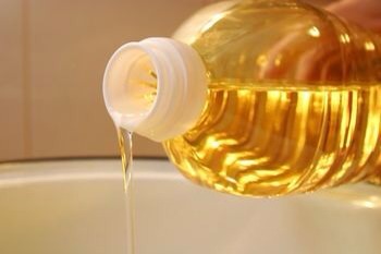 VEGETABLE OIL! You can mix in some vegetable oil into the whisked eggs. Vegetable oil helps in repairing the hair, just as any of these other ingredients do. It's so amazing