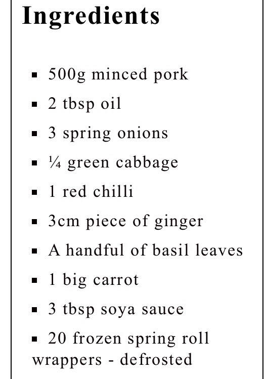 Pork Spring Rolls 