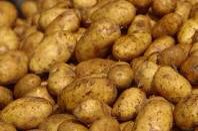 You can live off potatoes and butter for your whole life.