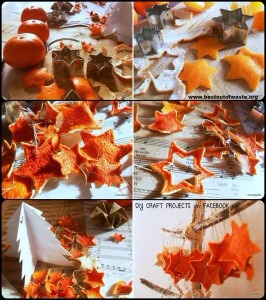 Orange Peel Festoon

A perfect festoon for a home-garden. Decorate your garden with a orange-peel festoon.you can make a cheapest-trivial-handy festoon for an attractive look of your home and garden.