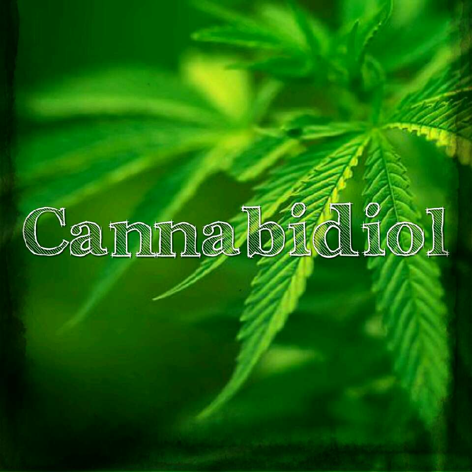 The magic ingredient!! 🌱 It's found in broccoli and kale plants, but hemp plants have cannabidiol (CBD) in abundance.