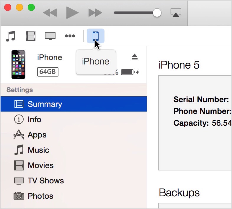 The last step is to connect your iPhone and sync the songs (caution: if your iPhone is synced with ANY OTHER ITUNES ON ANY OTHER COMPUTER IT WILL DELETE THE DATA THAT HAS BEEN SYNCED FROM THAT COMPUTER. also, if you sync your device with any other computer after this, all these songs will be gone)