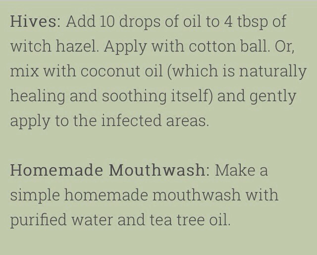 💥75 Amazing Tea Tree Oil Uses💥