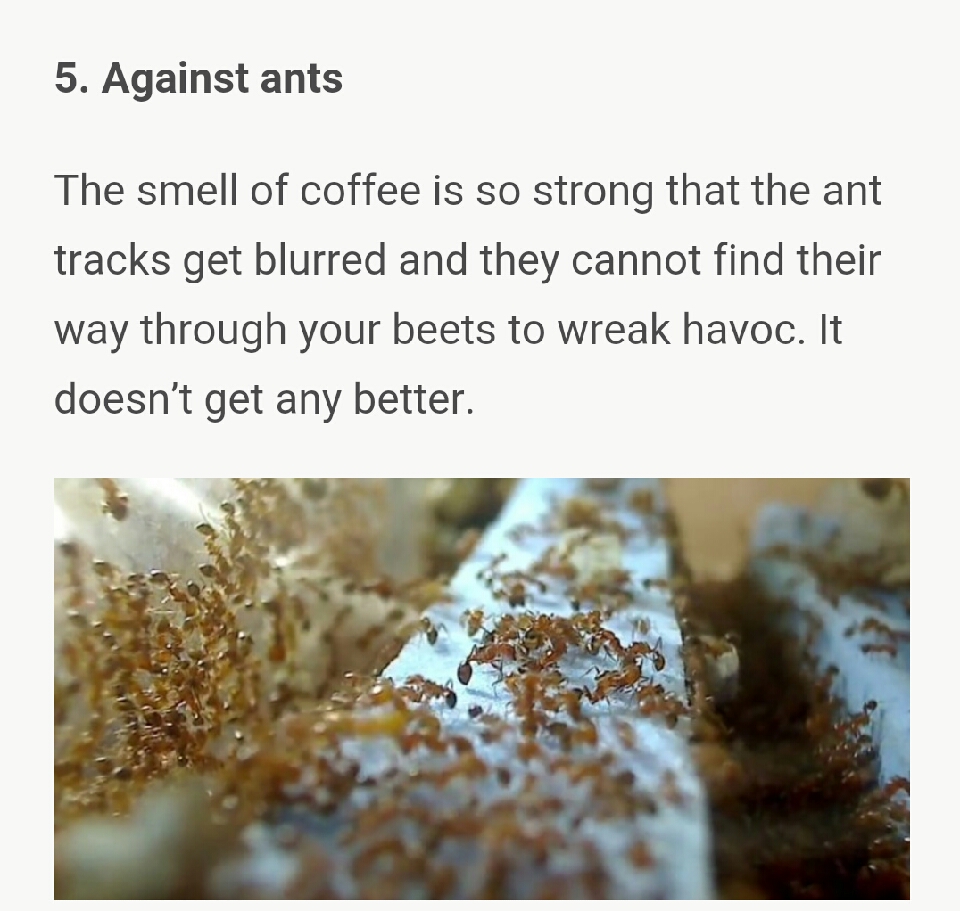 What she smears on her butt, everyone has at home – but nobody uses it!