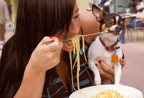 Dog Safe Foods 
