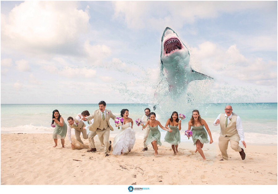 Coolest Wedding Photography Ideas