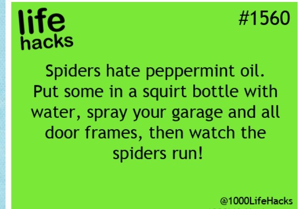 Cool Life Hacks