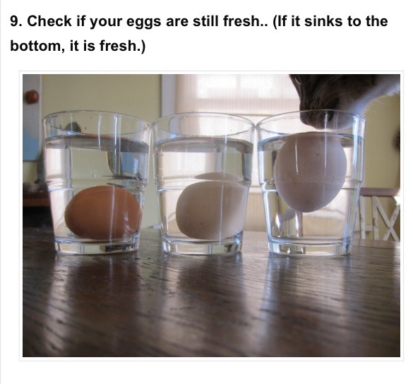 Top 10 Coolest Tricks You Can Use In Your Kitchen.  