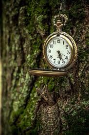 5. Always have time to take breaks, don't over study take breaks even if its 15 minutes⌚️