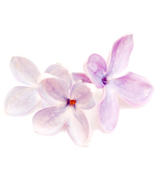 9⃣ Perfect-For-Spring Homemade Skin Care Recipes! 👏