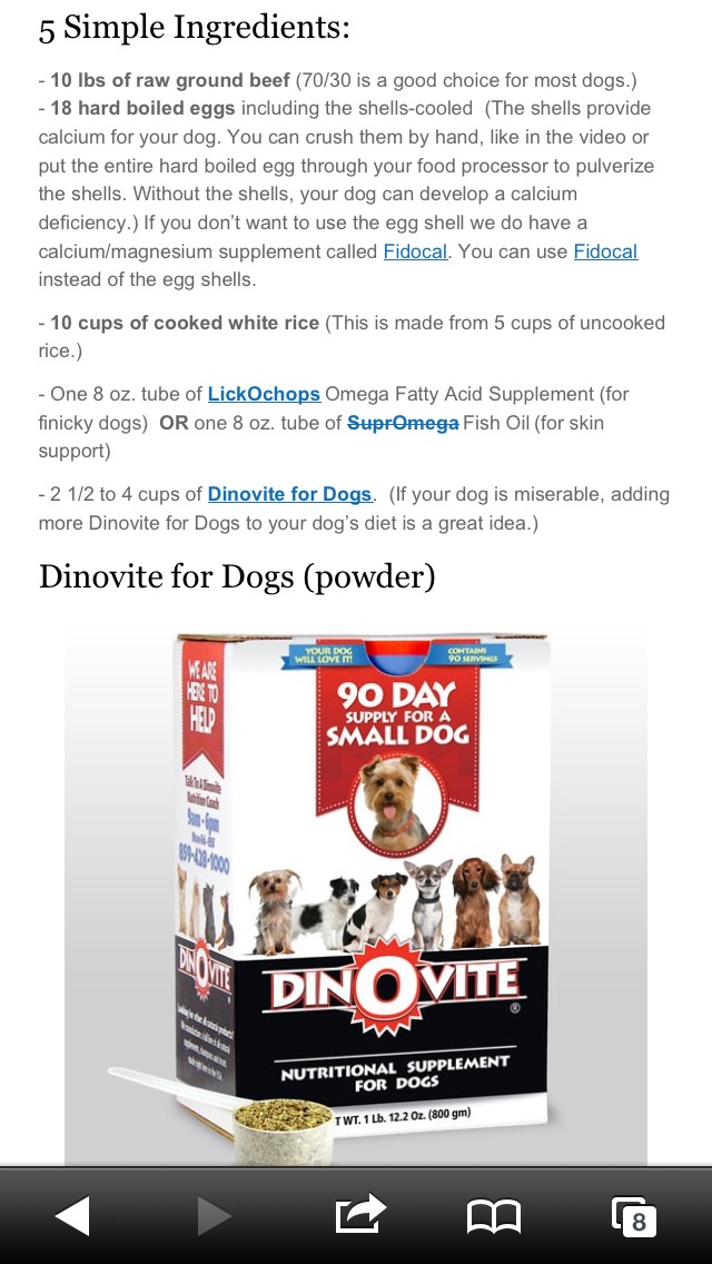 Homemade Dog Food -- Great For Dogs With Allergies Too! 