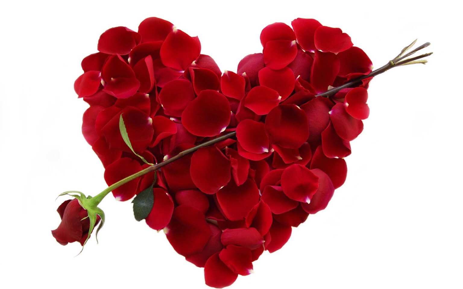 And... Nothing beats flowers!