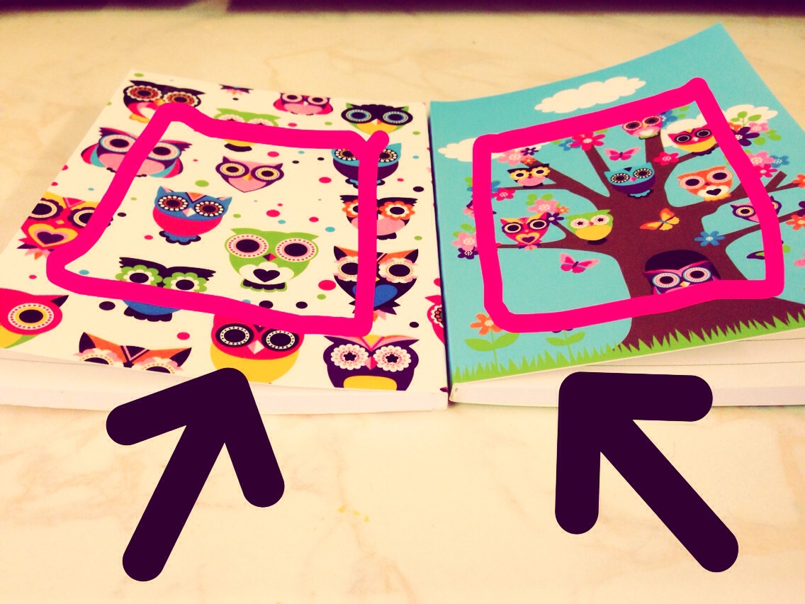 Glue the two pages as shown in pink