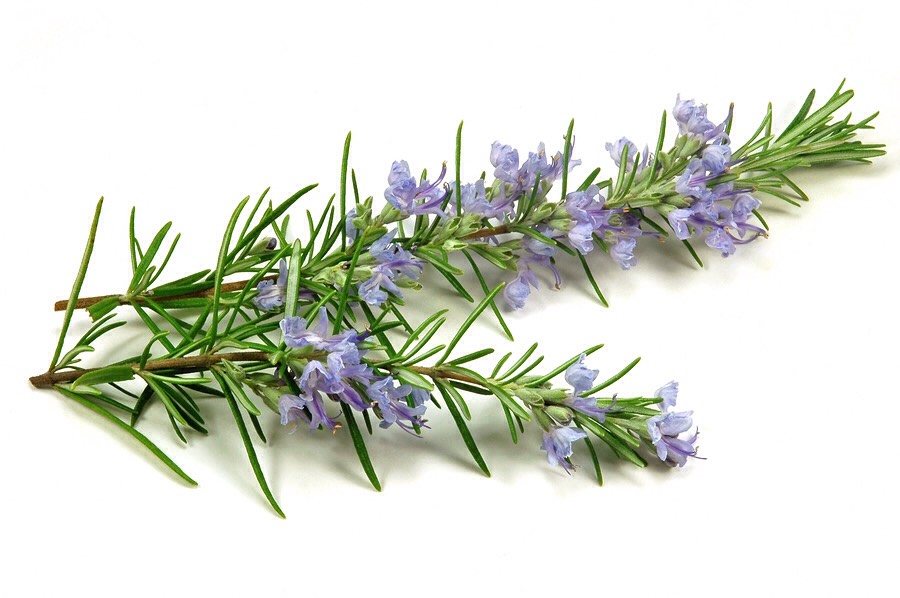 Improve Your Mood with These 8 Smells