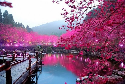 Beautiful Photography