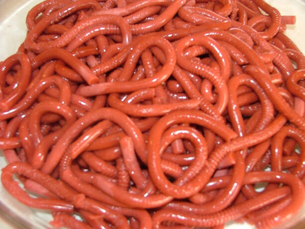 Halloween Worms!!! 