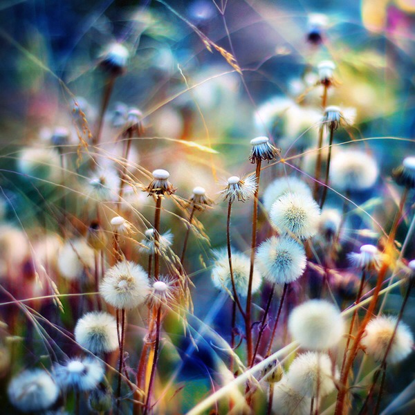 Beautiful Photography