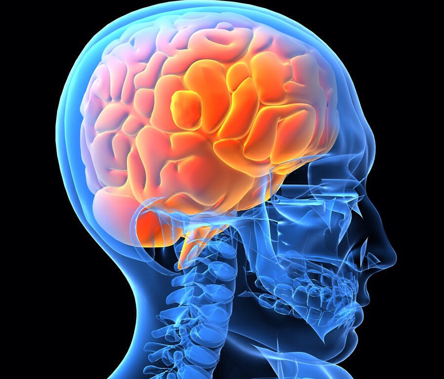 3.)Try to chew each bite about 30 times
4.)Avoid eating when bored
5.)Monitor your portion sizes- use 12" plate
6.)Set your fork down between bites
7.)Learn to recognize your body's cues: it takes 20 min for your stomach to tell you brain that it's full