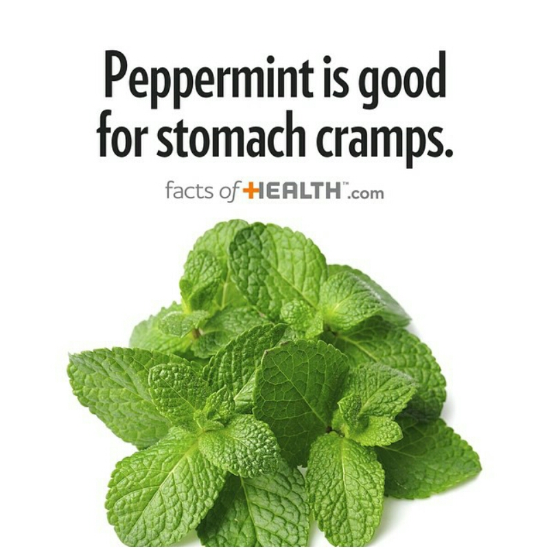 Eat Healthy And Live An Healthy Life.