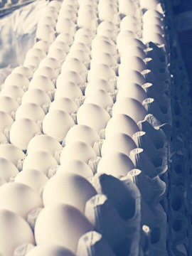 Egg whites 