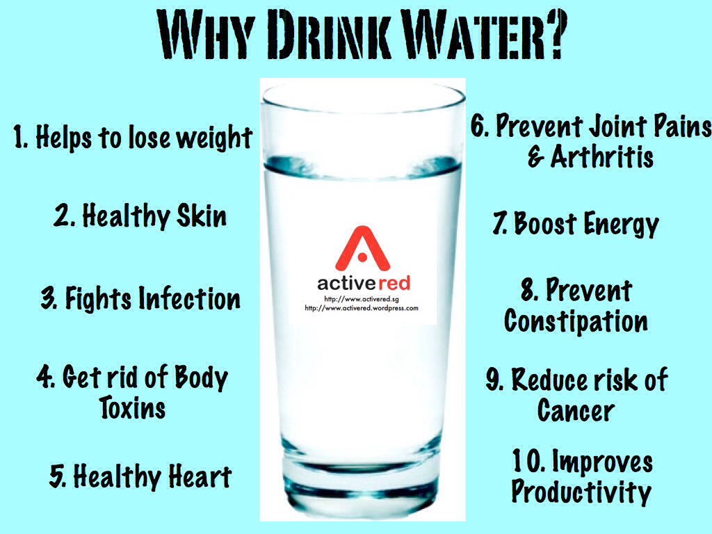 The Best Food And Drinks For Weight Loss!!