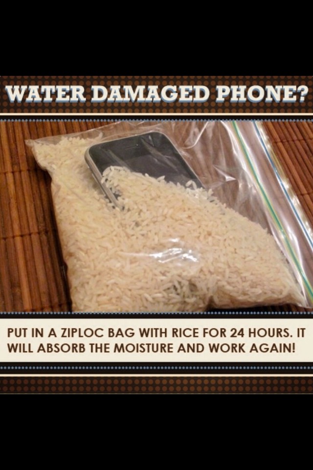 Believe me you're not the only one to drop your phone in water, to avoid the water going into the phone put it in a bowl/ bag of rice, the rice will soak up the excess water💦📱